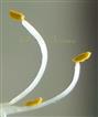  Filaments ( a part) and anthers